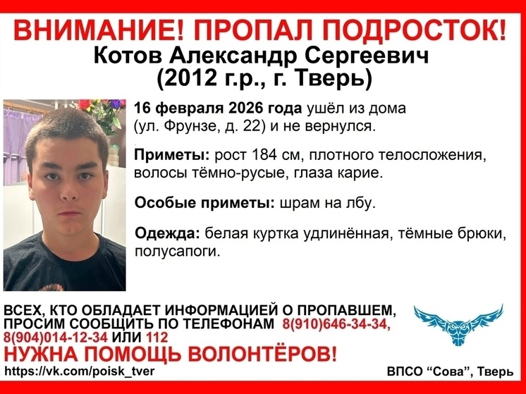     Фото: ВПСО "Сова"