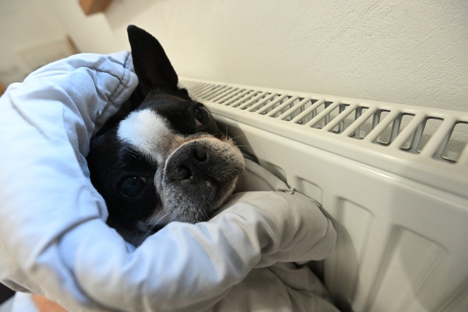    Тепло рассчитывают вернуть в дома к ночи Евгения ГУСЕВА