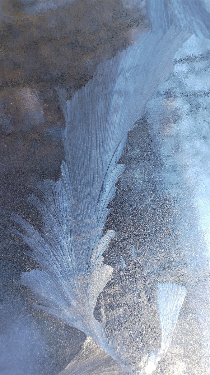 Перо счастья от Мороза Февральского!) С.Лун...