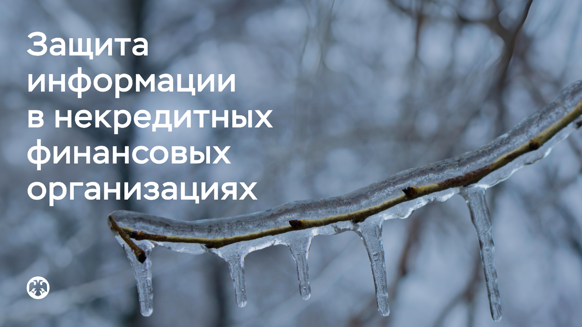 Фото: Catherine_P / Shutterstock