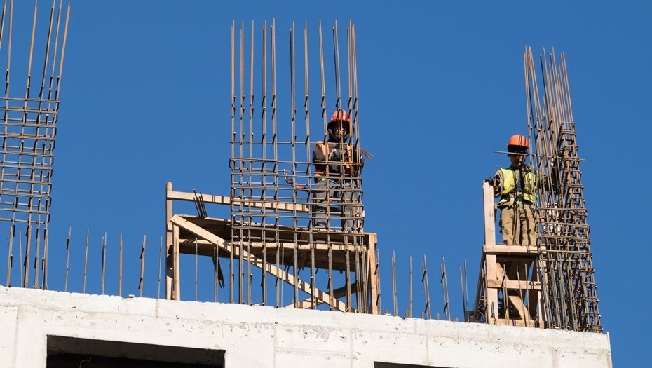 Автор фото: Михаил Тихонов / "ДП"