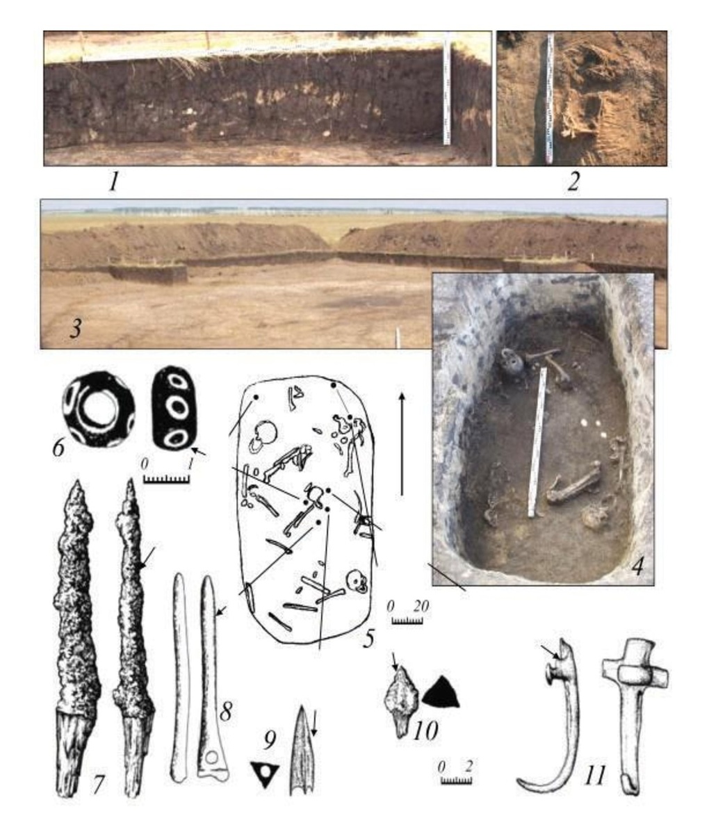 Погребения 1, кургана 1, могильника Памятное I. (гороховская культура).