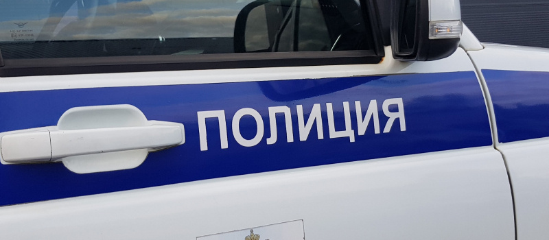    Ирина Меркова