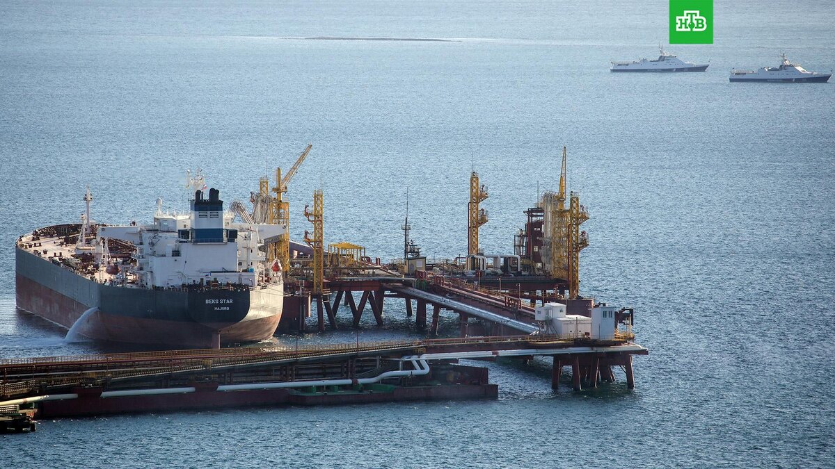    Фото: РИА Новости © 2026, Виталий Тимкив