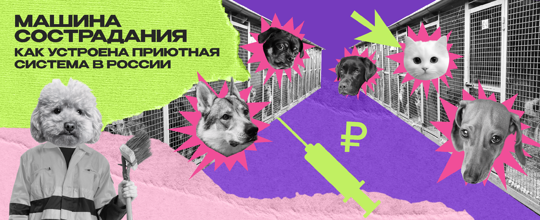 Машина сострадания. Как устроена приютная система в России