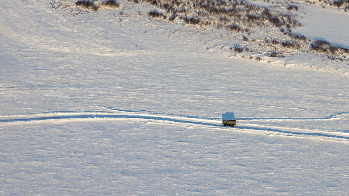    Фото: Федор Воронов/«Ямал-Медиа»