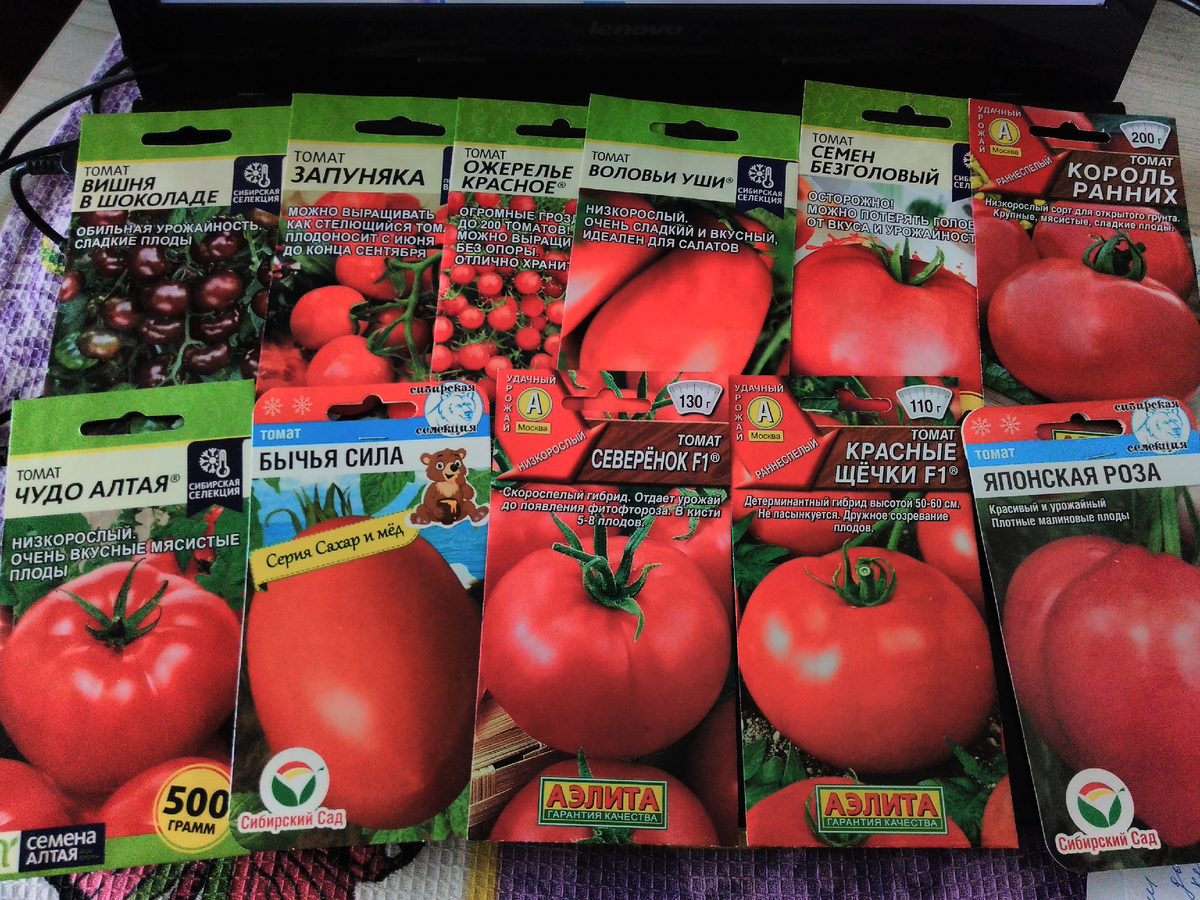 фото Ауры -автора канала