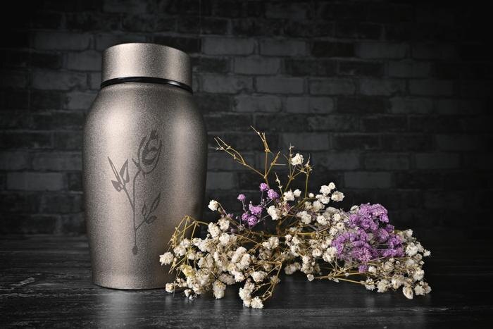 Обложка © Shutterstock / FOTODOM / Lightspruch