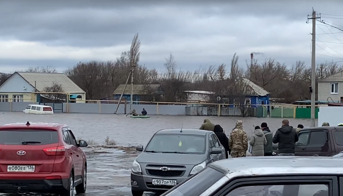     Фото: кадр видео из группы "Говорит Ольховатка" во "ВКонтакте", автор: Юлия Мищенко