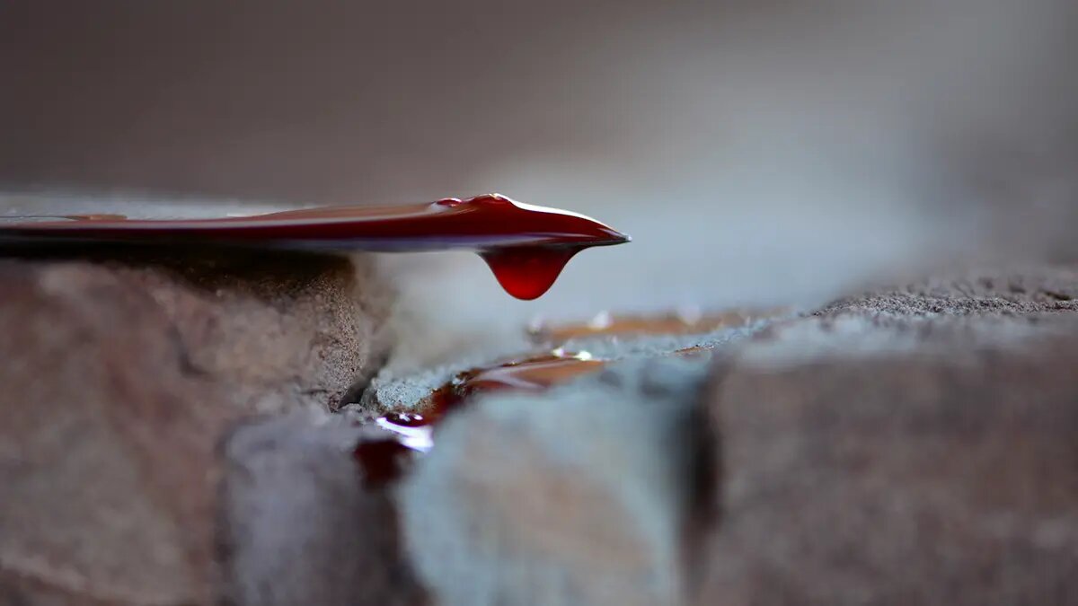    Фото: vm.ru Богдан Жуков