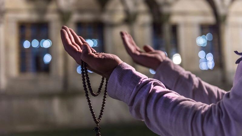    Фото: Resul Muslu / Shutterstock / ФОТОДОМ