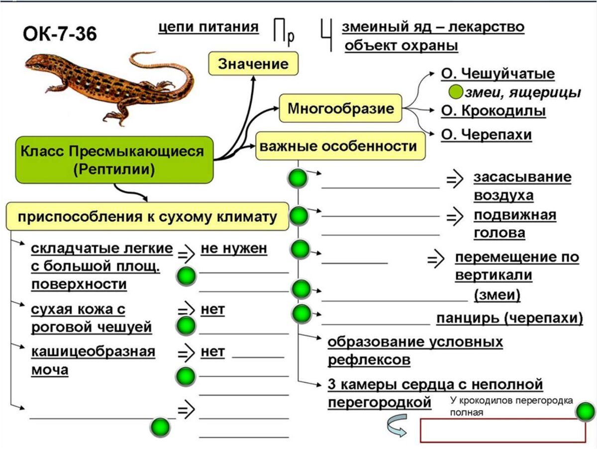 Это заготовка конспекта, в которую ученики впишут "открытия", сделанные на уроке
