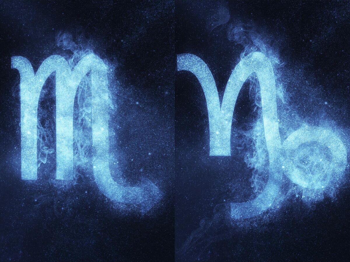    Знаки зодиака Скорпион и Козерог | © Getty Images / Allexxandar