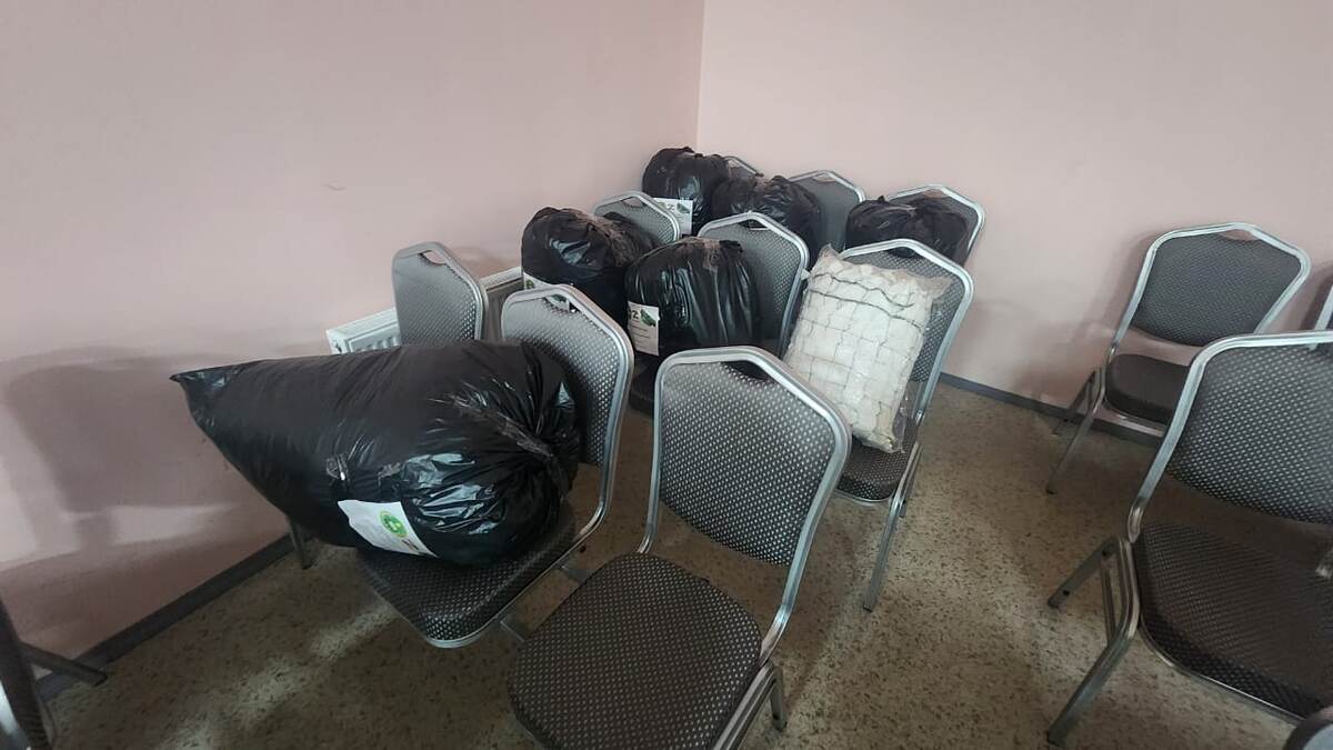    Фото: Екатерина Антонова.