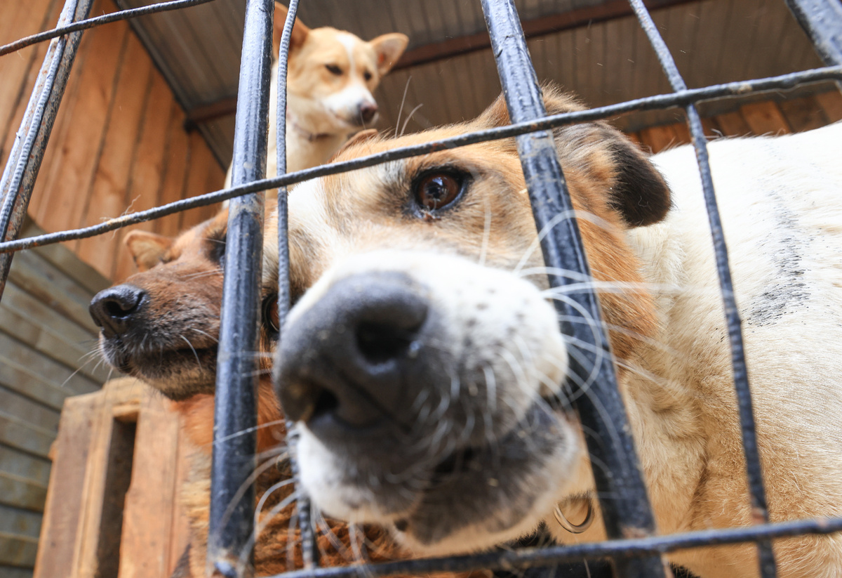 Автор фото: Александр Рюмин / ТАСС