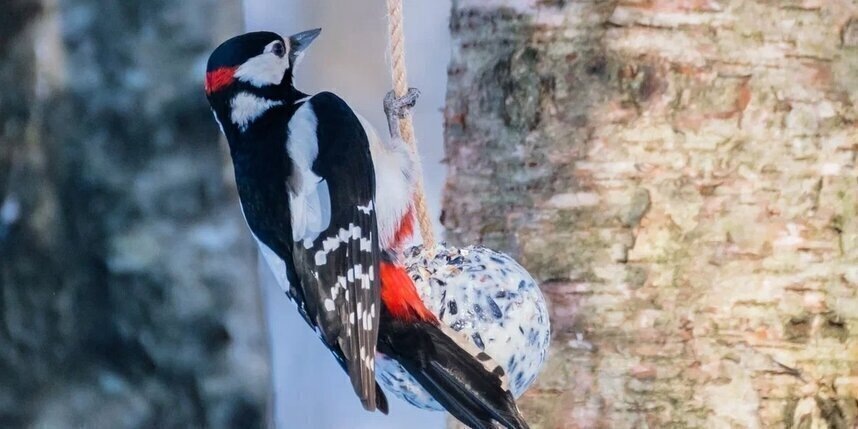    Алёна Бобрович