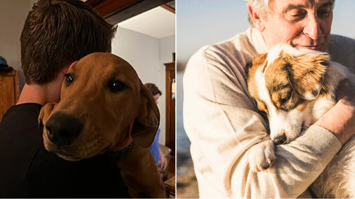 Собака и человек