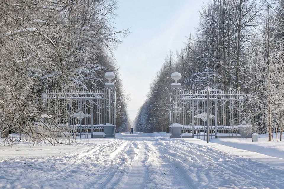    Посетители снова могут оценить архитектурный шедевр и изысканность чугунного литья. Фото: t.me/pavlovskpalaceandpark