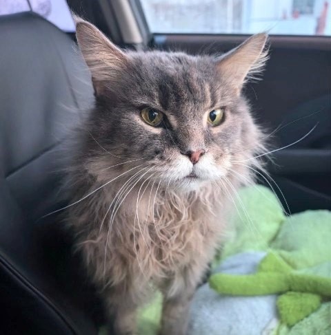 архив Александра Першина