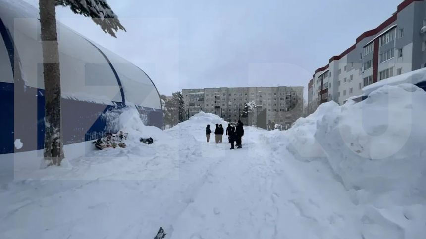    Фото: ИЗВЕСТИЯ; 5-tv.ru