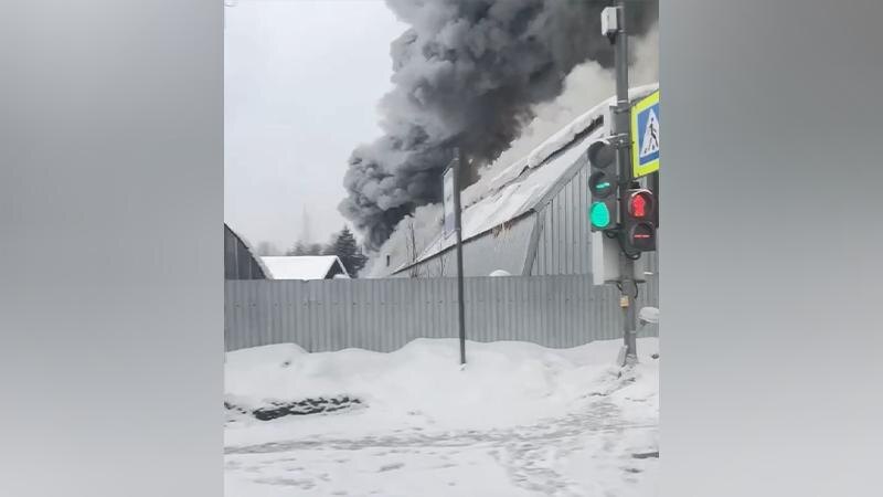    Фото: соцсети