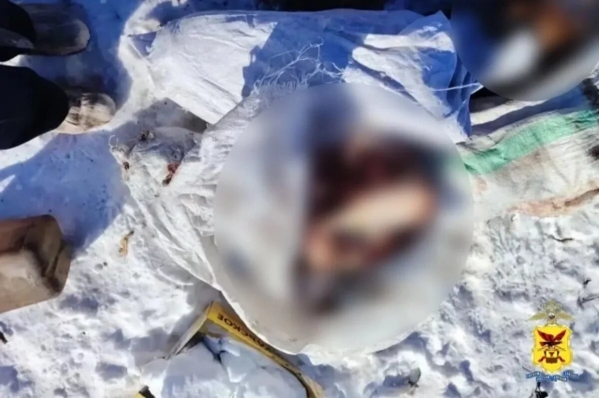    Судимых конокрадов задержали полицейские в Забайкалье