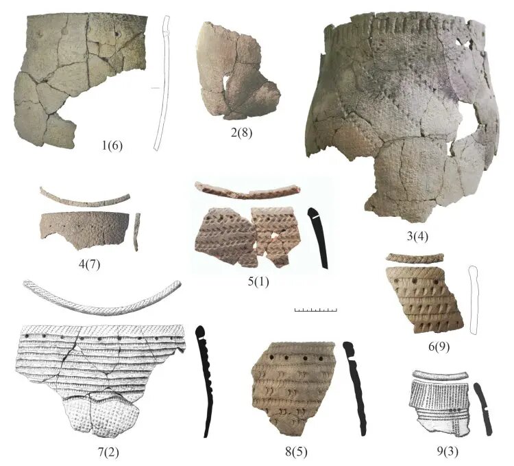    Фото: scientificrussia.ru Марина Латышева