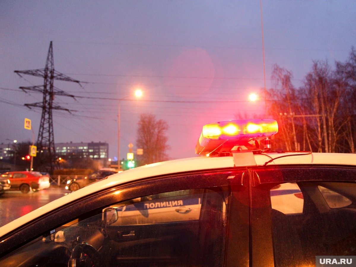     Мужчина был задержан нарядом полиции