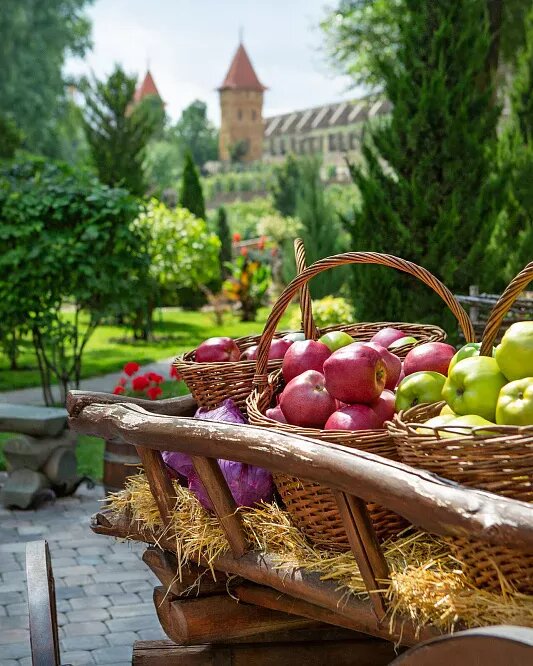 Фотография с сайта loga.ru