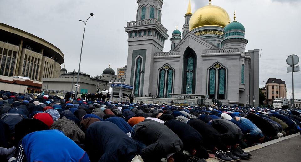    Медиасток.рф