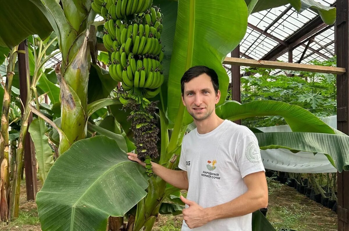 Глава КФХ «100 гектар» Андрей Платонов в теплице, где выращивают бананы // Фото предоставлено спикером