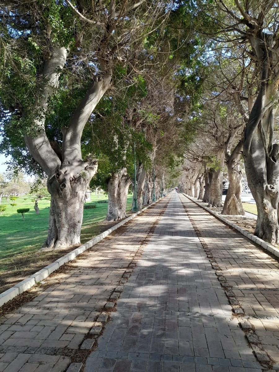 Парк Монтаза