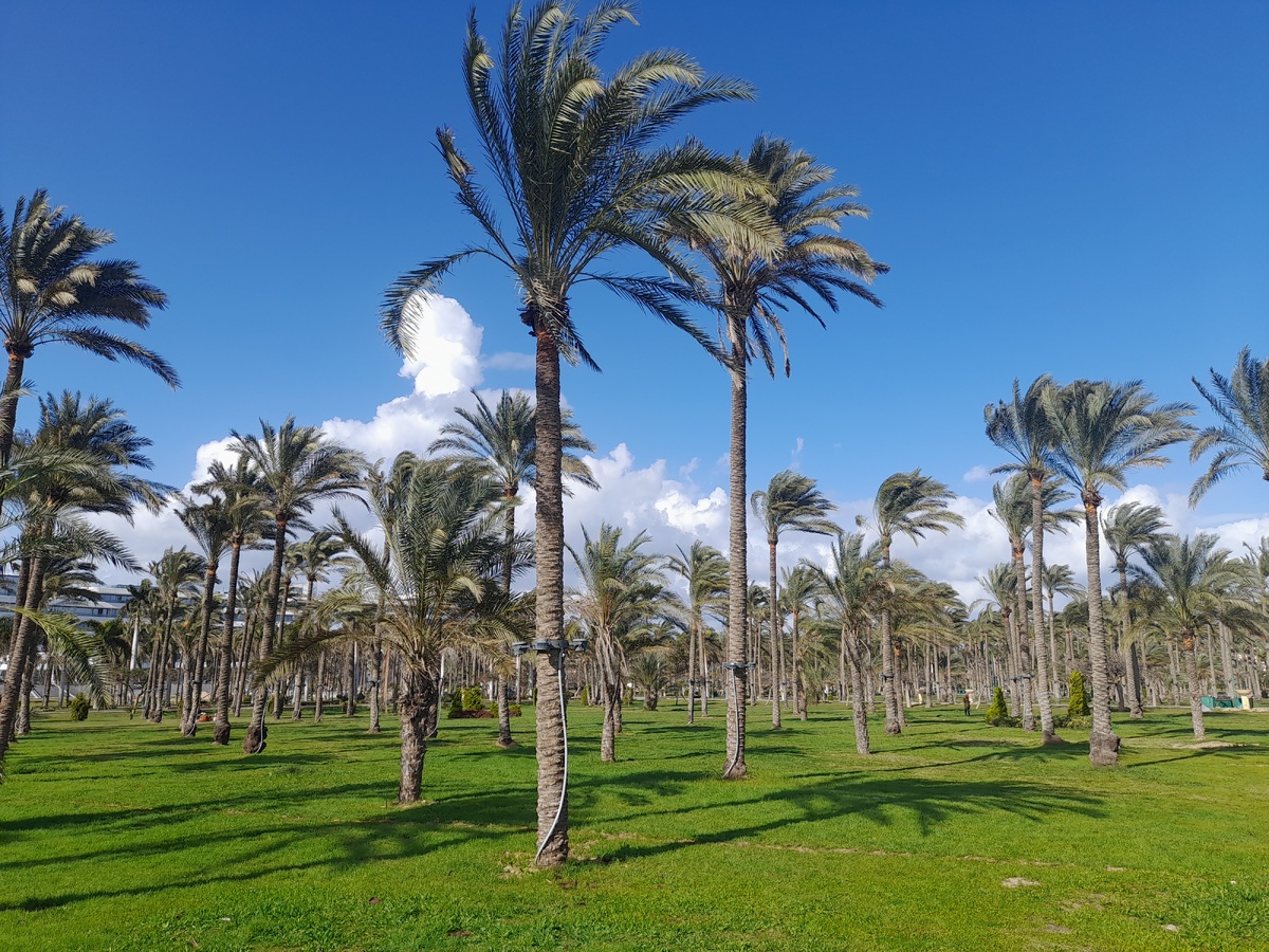 Парк Монтаза