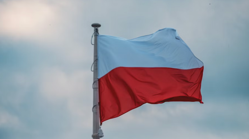     Nemesia Production/Unsplash