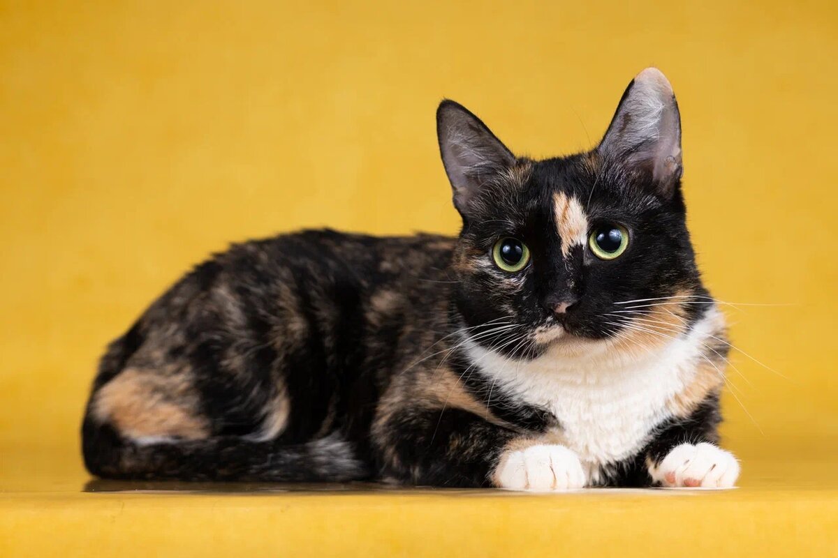 А какой он, свой уголок?