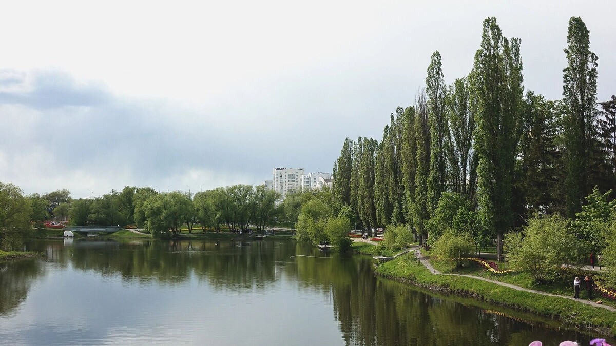    Это решение было принято в связи с многочисленными жалобами белгородцев   1MI