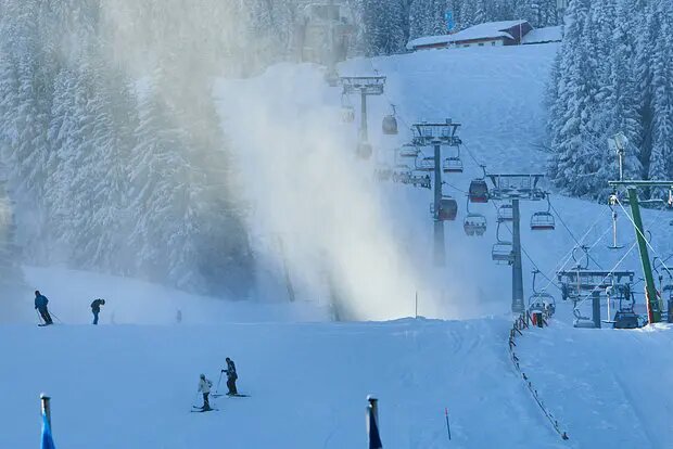    Фото: lenta.ru Полина Котова