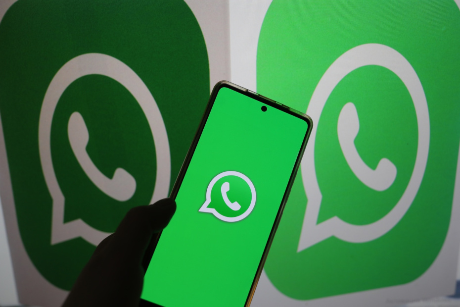    Алексей Белкин/NEWS.ru