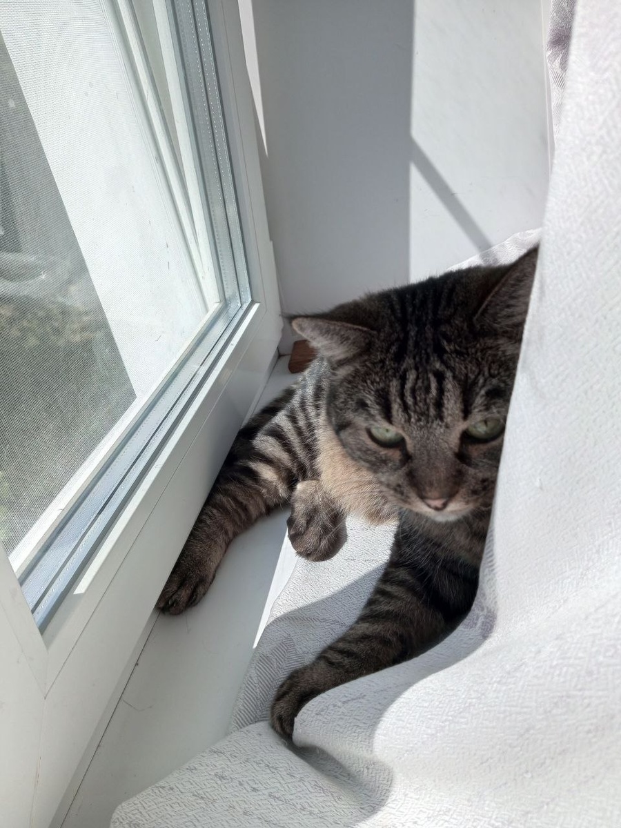 ЗаМУРРовались...