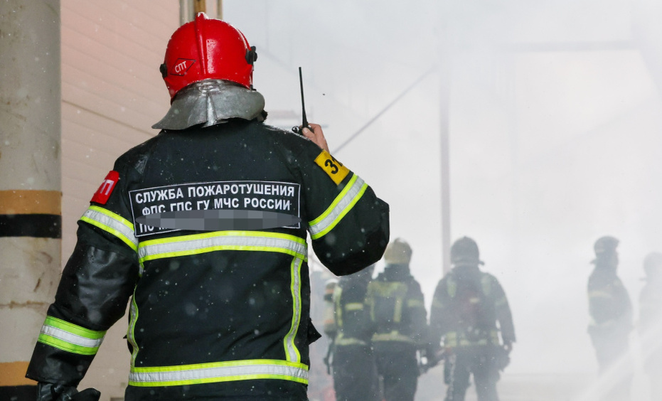    Алексей Белкин/NEWS.ru