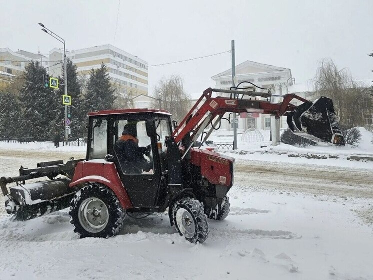     фото: пресс-служба брянской городской администрации