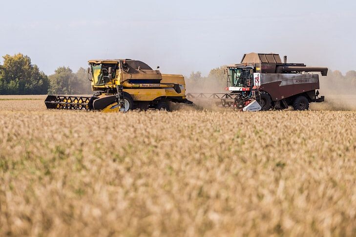    фото Андрей Заржецкий