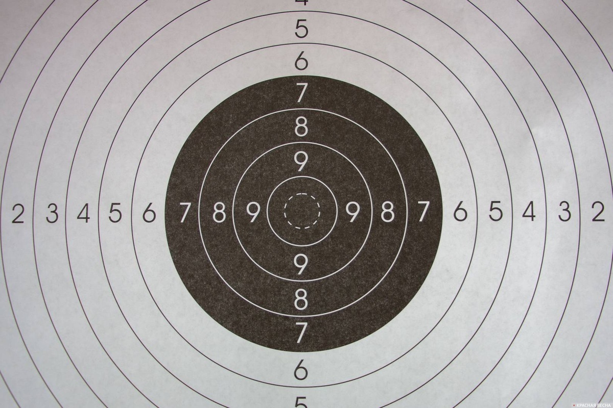     Мишень.   
Андрей Алексеев © ИА Красная Весна