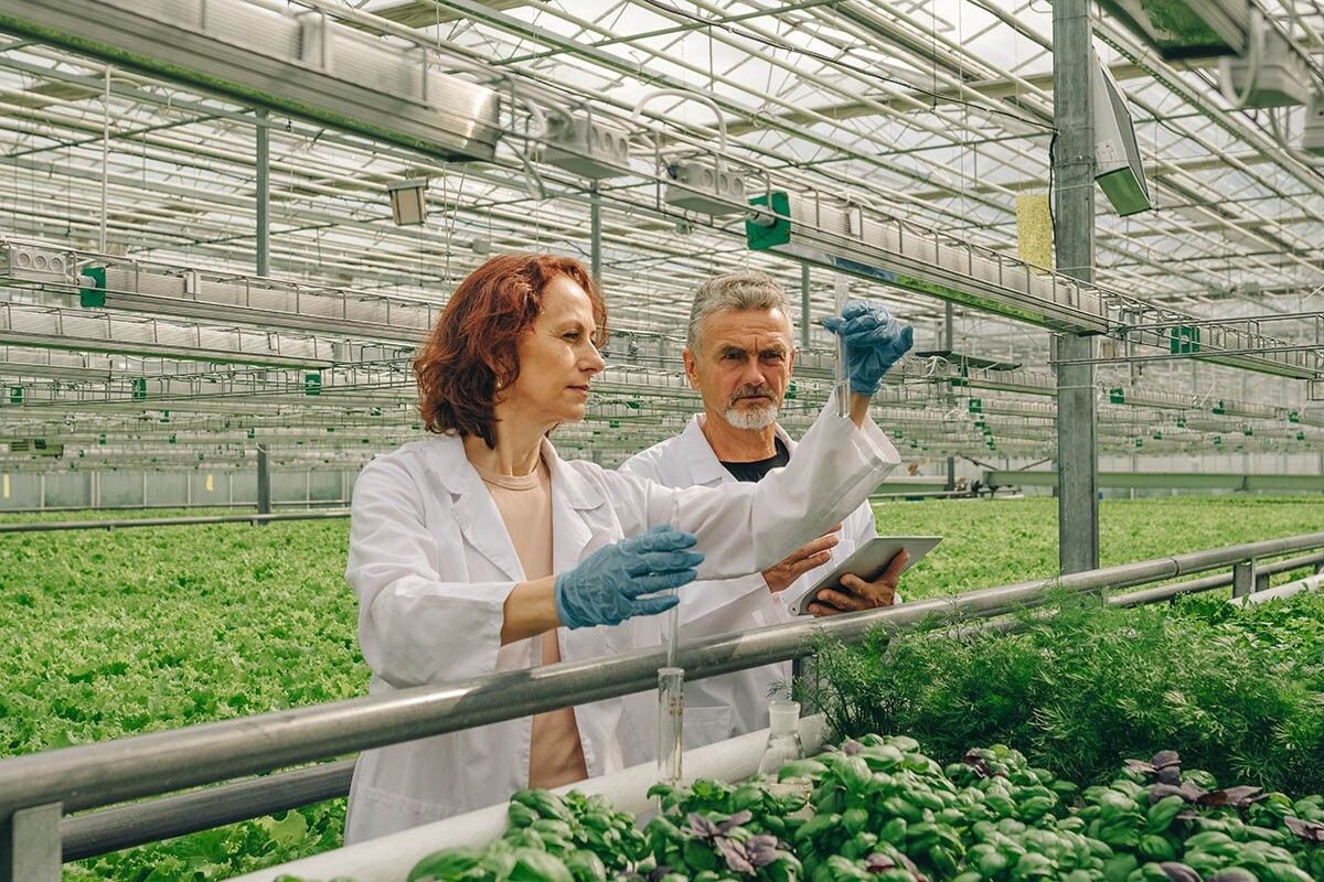 Агроном определяет качество всходов семян и корректирует план полевых работ. Источник: SeniaDm / Shutterstock / FOTODOM📷
