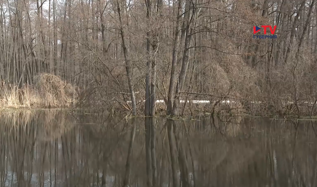     Фото: архив TV Губернии