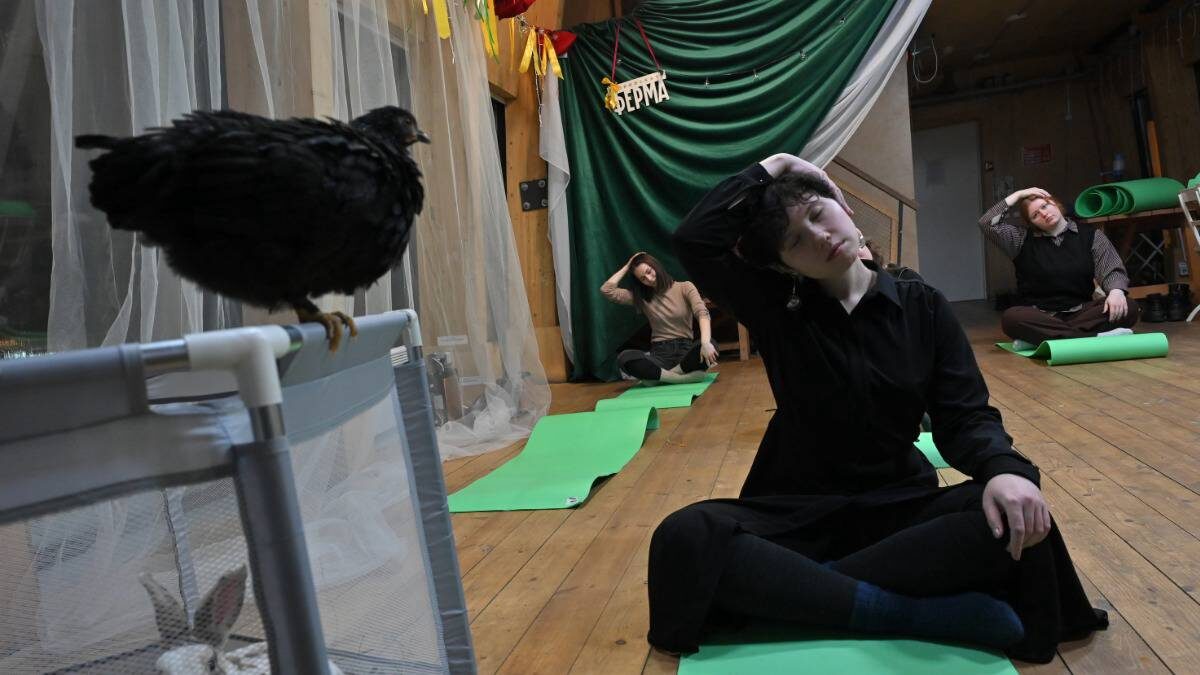    Искусствовед Анна Томашевская на йоге с курами и кроликами на Городской ферме ВДНХ / Фото: Александр Кочубей / Вечерняя Москва