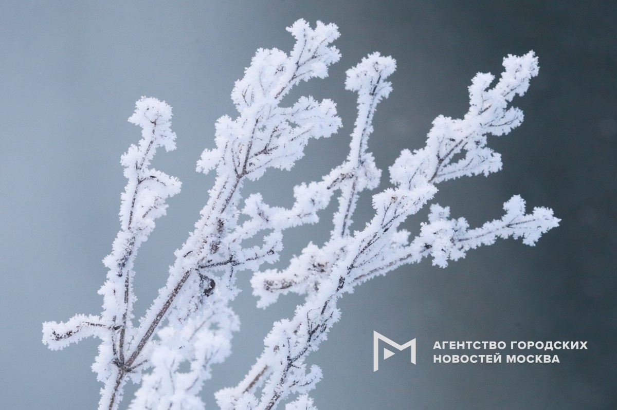 Фотограф: Василий Кузьмичёнок