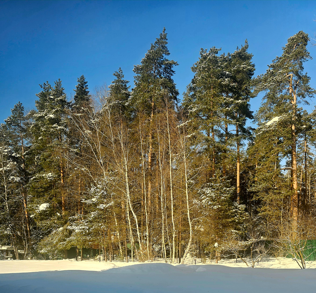 Спящая красавица под снегом: Почему агроном не спит, когда природа отдыхает