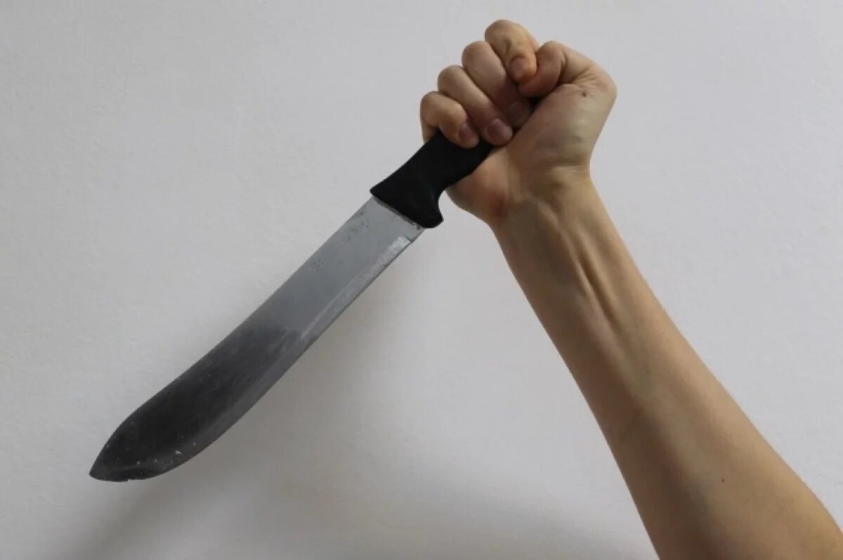    Жительница Тулы поедет в колонию за нападение с ножом на знакомого