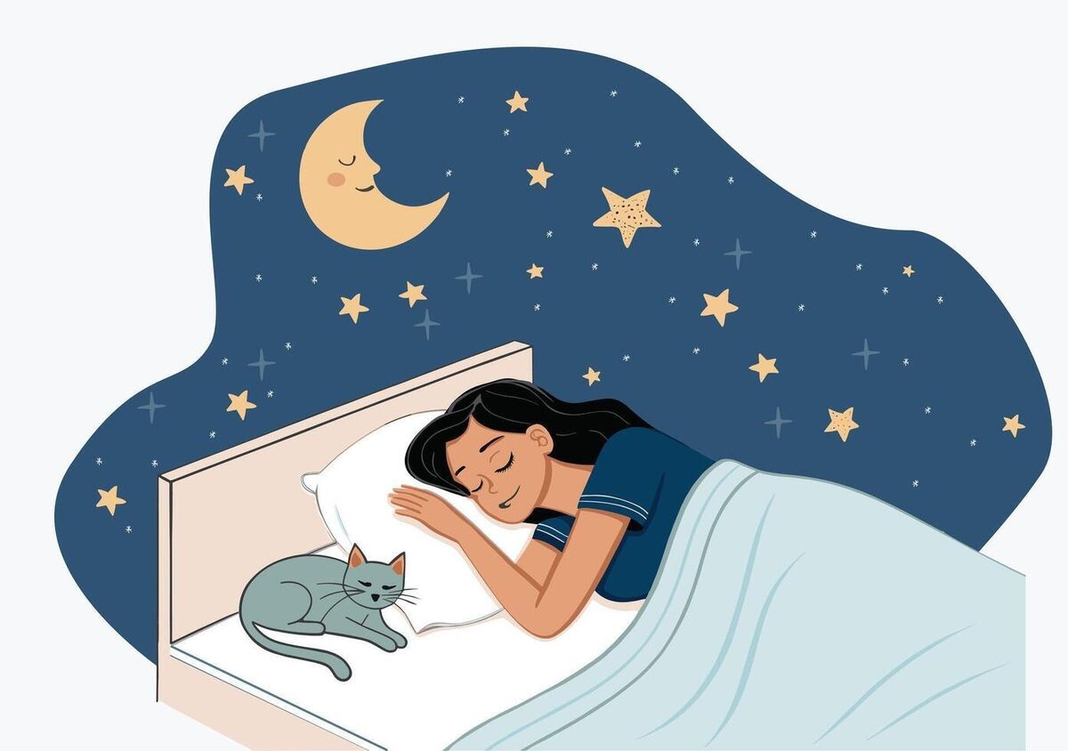 Картинка Descargar Vectores, Imágenes, Fotos y Videos Gratis